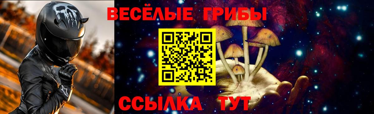 Псилоцибиновые грибы GOLDEN TEACHER Унеча